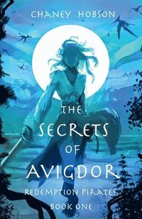 bokomslag The Secrets of Avigdor