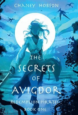 bokomslag The Secrets of Avigdor