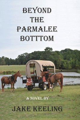 bokomslag Beyond the Parmalee Bottom