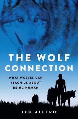 Teo Alfero - The Wolf Connection: What Wolves Can Teach Us about Being Human, Häftad