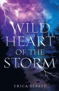 bokomslag Wild Heart of the Storm