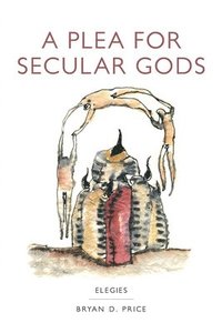 bokomslag Plea for Secular Gods