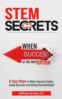 bokomslag STEM Secrets When Success Is The Only Option