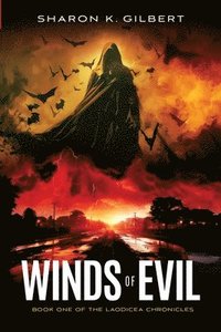 bokomslag Winds of Evil