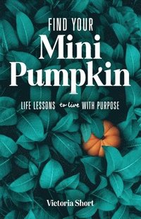 bokomslag Find Your Mini Pumpkin