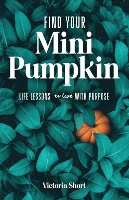 Find Your Mini Pumpkin 1