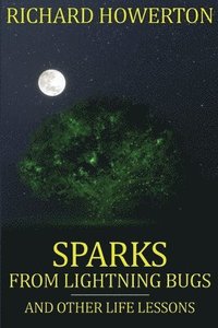 bokomslag Sparks from Lightning Bugs and Other Life Lessons