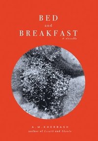 bokomslag Bed and Breakfast