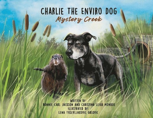 Charlie The Enviro Dog 1