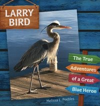 bokomslag Larry Bird