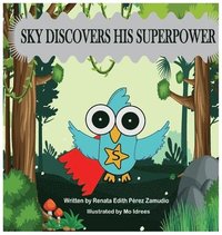 bokomslag Sky Discovers His Superpower