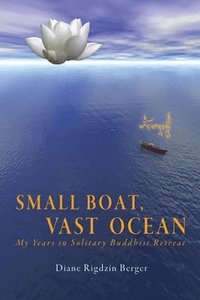bokomslag Small Boat, Vast Ocean