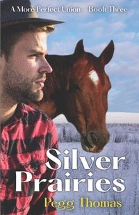 bokomslag Silver Prairies