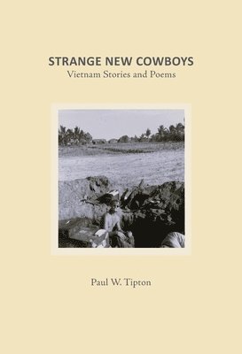 bokomslag Strange New Cowboys