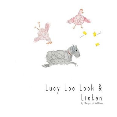 bokomslag Lucy Loo Look & Listen