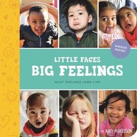 bokomslag Little Faces Big Feelings: What Emotions Look Like