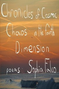bokomslag Chronicles of Cosmic Chaos in The Fourth Dimension