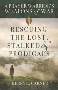 bokomslag Rescuing the Lost, Stalked & Prodigals