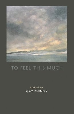 Gay Phinny - To Feel This Much, Häftad