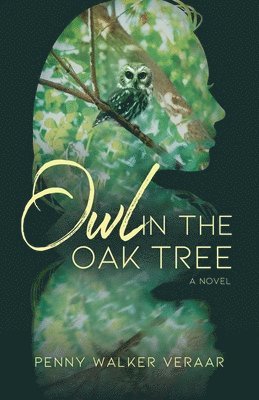 Owl in the Oak Tree 1