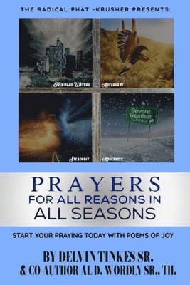 bokomslag Prayers for All Reasons in All Seasons: Start Your Praying Today with Poems of Joy