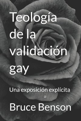 bokomslag Teologa de la validacin gay