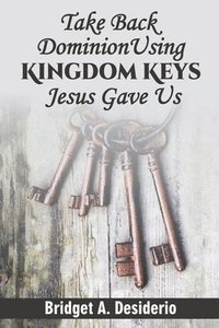 bokomslag Take Dominion Back Using Kingdom Keys Jesus Gave Us