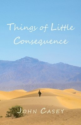 bokomslag Things of Little Consequence