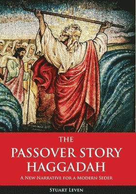bokomslag Passover Story Haggadah