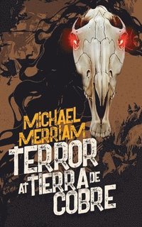 bokomslag Terror at Tierra de Cobre
