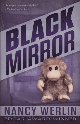 Nancy Werlin - Black Mirror, Häftad