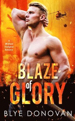 bokomslag Blaze of Glory