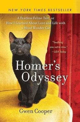 bokomslag Homer's Odyssey