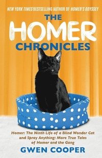 bokomslag The Homer Chronicles