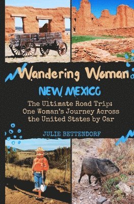 Wandering Woman: New Mexico: The Ultimate Road Trip: One Woman's Journey Across the United States by Car