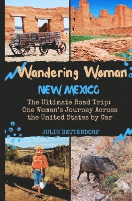 Wandering Woman: New Mexico: The Ultimate Road Trip: One Woman's Journey Across the United States by Car 1