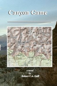 bokomslag Canyon Game