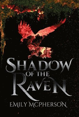 bokomslag Shadow of the Raven