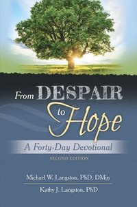 bokomslag From Despair to Hope