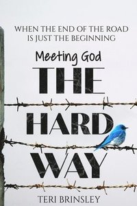 bokomslag Meeting God The Hard Way