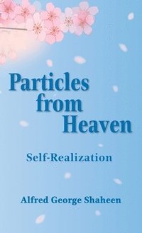 bokomslag Particles from Heaven