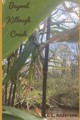 Beyond Killough Creek 1