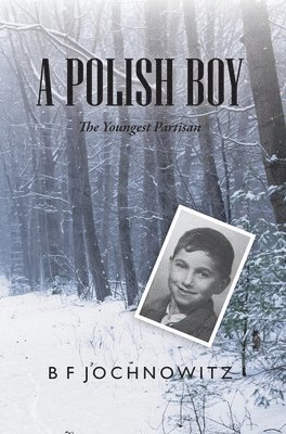 bokomslag A Polish Boy