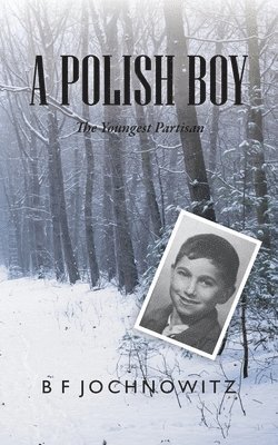 bokomslag Polish Boy