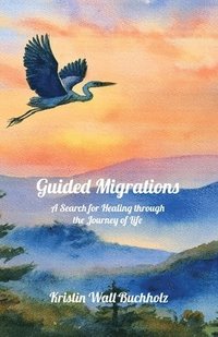 bokomslag Guided Migrations