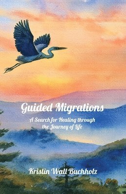 Guided Migrations 1