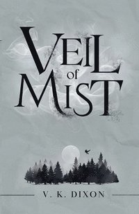 bokomslag Veil of Mist