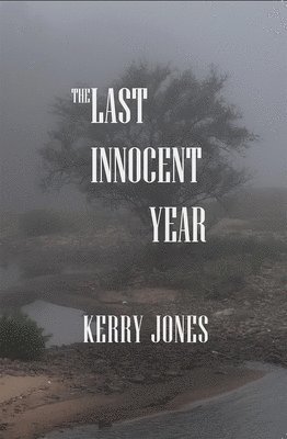 bokomslag The Last Innocent Year