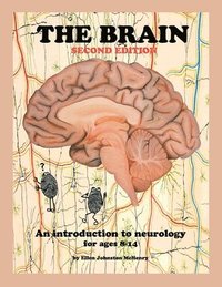 bokomslag The Brain; Second edition