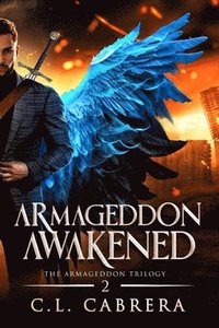 bokomslag Armageddon Awakened